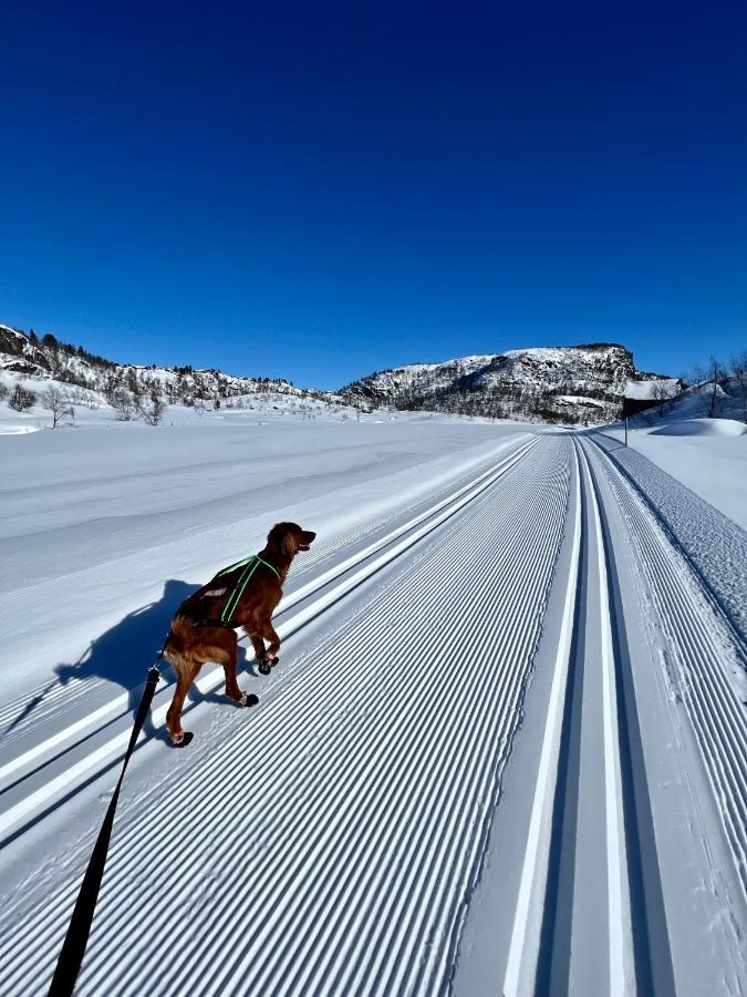 Flott Leilighet Pa Haugen I Sirdal Tjorhom Luaran gambar