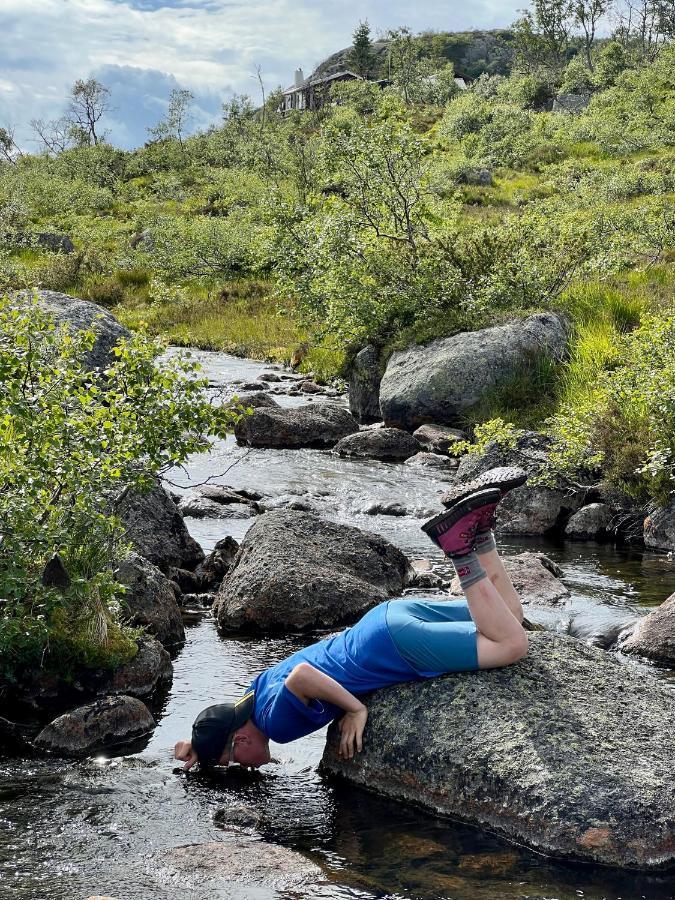 Flott Leilighet Pa Haugen I Sirdal Tjorhom Luaran gambar