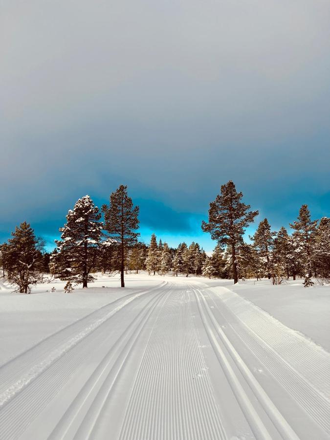Flott Leilighet Pa Haugen I Sirdal Tjorhom Luaran gambar